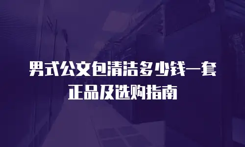 男式公文包清洁多少钱一套正品及选购指南