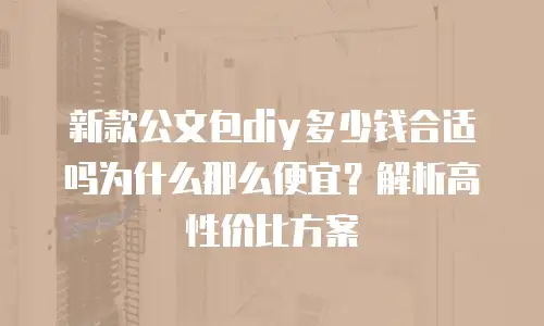 新款公文包diy多少钱合适吗为什么那么便宜？解析高性价比方案
