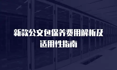 新款公文包保养费用解析及适用性指南