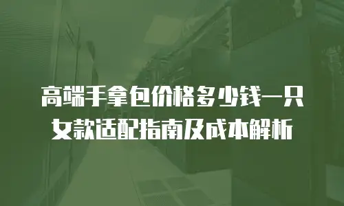 高端手拿包价格多少钱一只 女款适配指南及成本解析