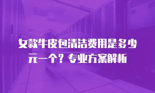 女款牛皮包清洁费用是多少元一个？专业方案解析