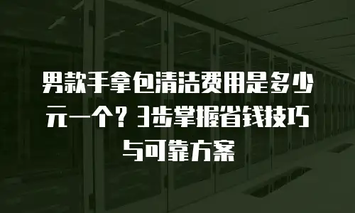 男款手拿包清洁费用是多少元一个？3步掌握省钱技巧与可靠方案