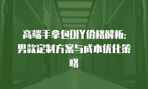 高端手拿包DIY价格解析：男款定制方案与成本优化策略