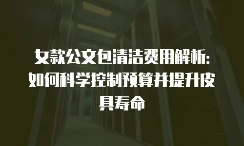 女款公文包清洁费用解析：如何科学控制预算并提升皮具寿命