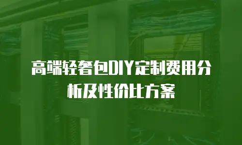 高端轻奢包DIY定制费用分析及性价比方案