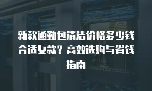 新款通勤包清洁价格多少钱合适女款？高效选购与省钱指南