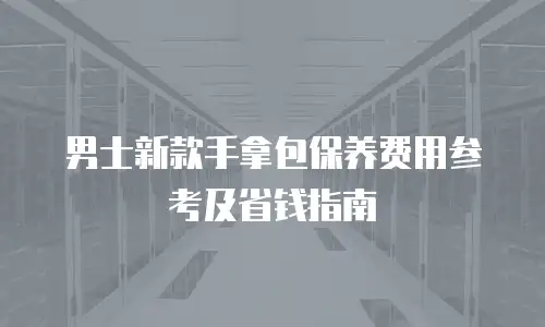 男士新款手拿包保养费用参考及省钱指南