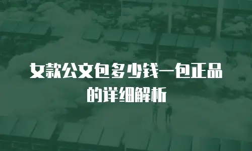 女款公文包多少钱一包正品的详细解析