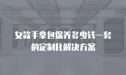 女款手拿包保养多少钱一套的定制化解决方案