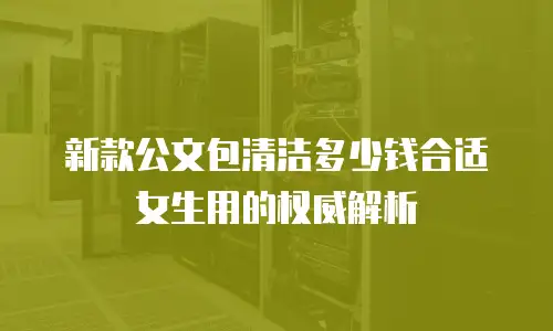 新款公文包清洁多少钱合适女生用的权威解析