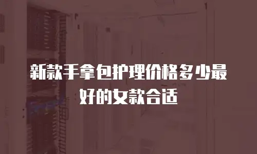 新款手拿包护理价格多少最好的女款合适