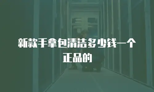 新款手拿包清洁多少钱一个正品的