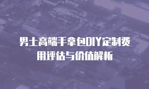 男士高端手拿包DIY定制费用评估与价值解析
