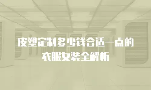 皮塑定制多少钱合适一点的衣服女装全解析