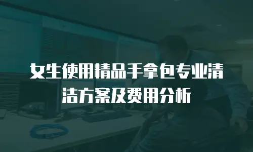 女生使用精品手拿包专业清洁方案及费用分析