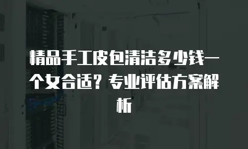 精品手工皮包清洁多少钱一个女合适？专业评估方案解析