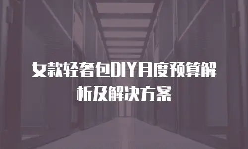 女款轻奢包DIY月度预算解析及解决方案