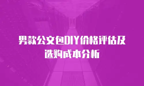 男款公文包DIY价格评估及选购成本分析