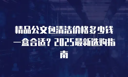 精品公文包清洁价格多少钱一盒合适？2025最新选购指南