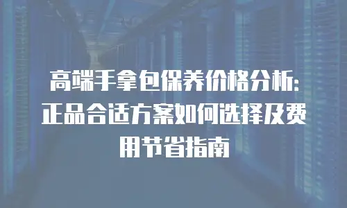 高端手拿包保养价格分析：正品合适方案如何选择及费用节省指南