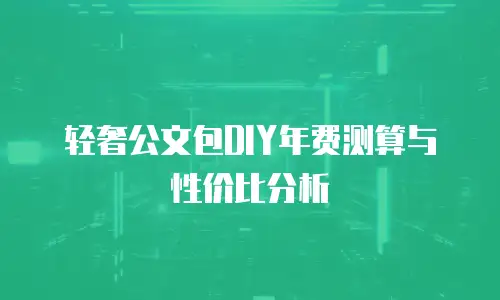 轻奢公文包DIY年费测算与性价比分析