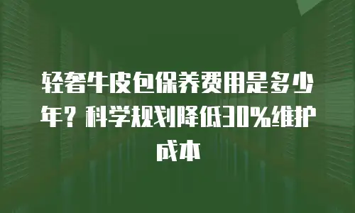 轻奢牛皮包保养费用是多少年？科学规划降低30%维护成本