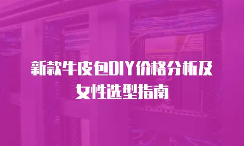 新款牛皮包DIY价格分析及女性选型指南