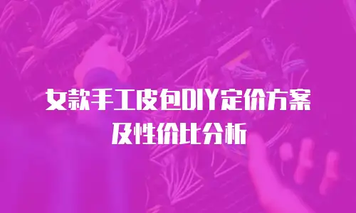 女款手工皮包DIY定价方案及性价比分析