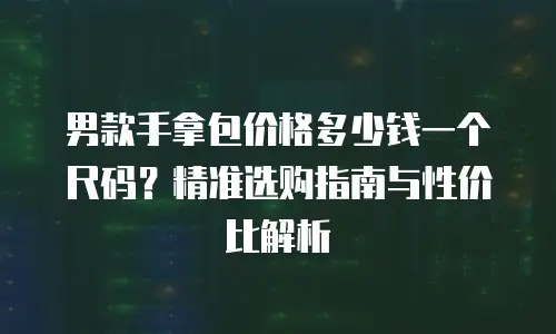 男款手拿包价格多少钱一个尺码？精准选购指南与性价比解析