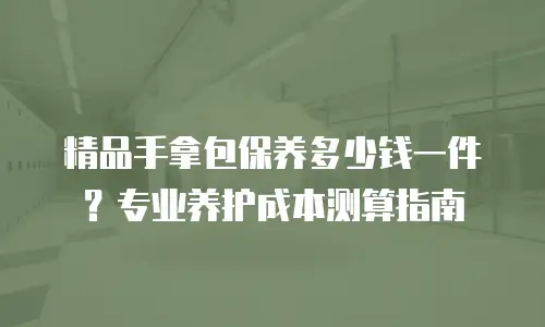 精品手拿包保养多少钱一件？专业养护成本测算指南