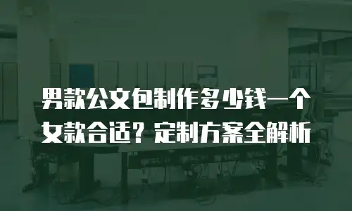 男款公文包制作多少钱一个女款合适？定制方案全解析