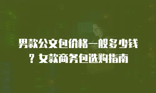 男款公文包价格一般多少钱？女款商务包选购指南