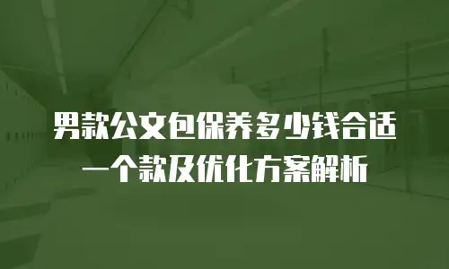 男款公文包保养多少钱合适一个款及优化方案解析
