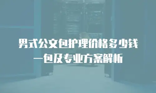 男式公文包护理价格多少钱一包及专业方案解析