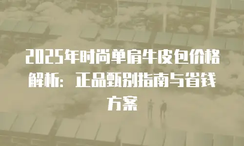 2025年时尚单肩牛皮包价格解析：正品甄别指南与省钱方案