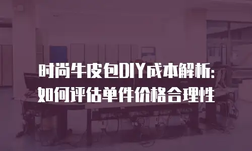 时尚牛皮包DIY成本解析：如何评估单件价格合理性