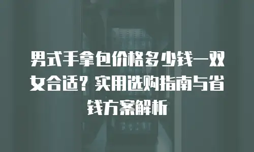男式手拿包价格多少钱一双女合适？实用选购指南与省钱方案解析