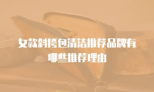女款斜挎包清洁推荐品牌有哪些推荐理由