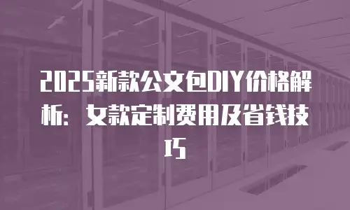 2025新款公文包DIY价格解析：女款定制费用及省钱技巧