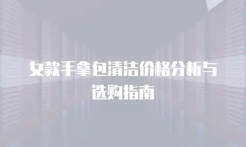 女款手拿包清洁价格分析与选购指南