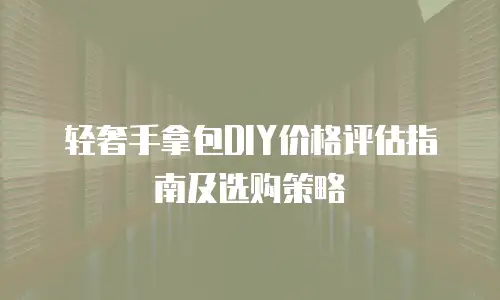 轻奢手拿包DIY价格评估指南及选购策略