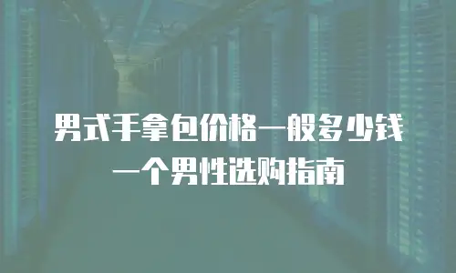 男式手拿包价格一般多少钱一个男性选购指南