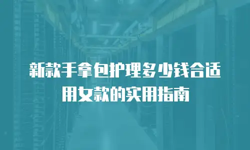 新款手拿包护理多少钱合适用女款的实用指南