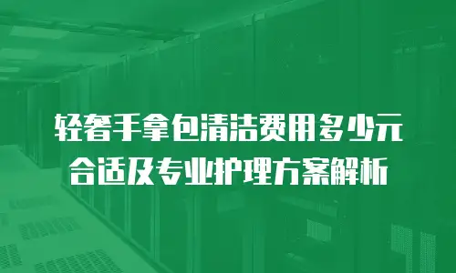 轻奢手拿包清洁费用多少元合适及专业护理方案解析