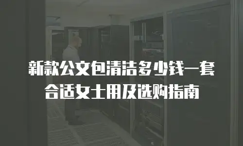 新款公文包清洁多少钱一套合适女士用及选购指南