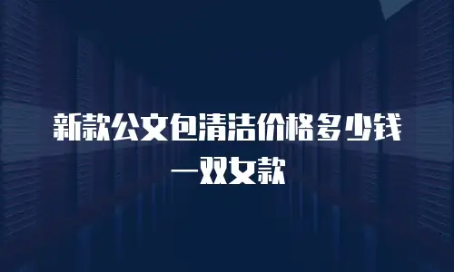 新款公文包清洁价格多少钱一双女款