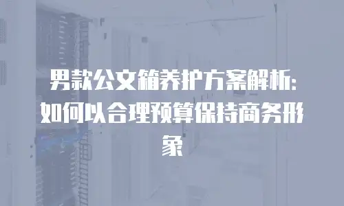 男款公文箱养护方案解析：如何以合理预算保持商务形象