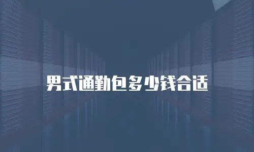 男式通勤包多少钱合适