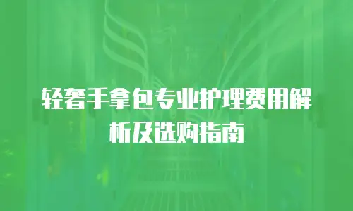 轻奢手拿包专业护理费用解析及选购指南