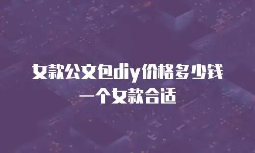 女款公文包diy价格多少钱一个女款合适